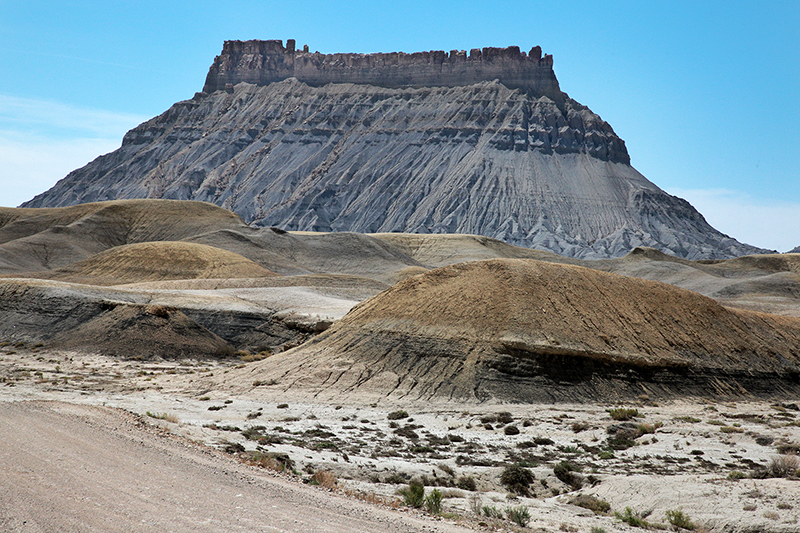 Bison : Antelope Island : Utah : Landscape Photos : Richard Moore : Photographer